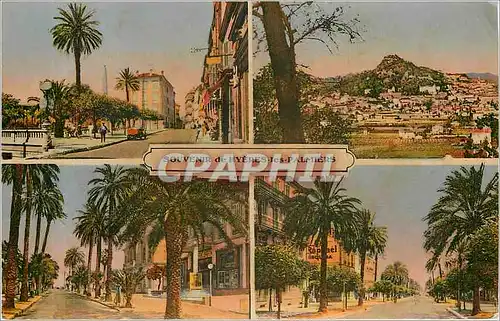 Cartes postales Souvenir de Hyeres les Palmiers