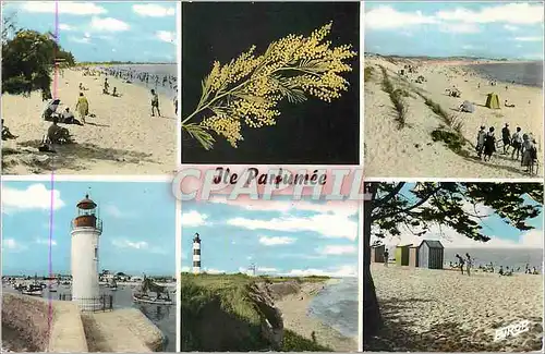 Cartes postales moderne Ile Parfumee Ile d'Oleron Ch Mme Phare