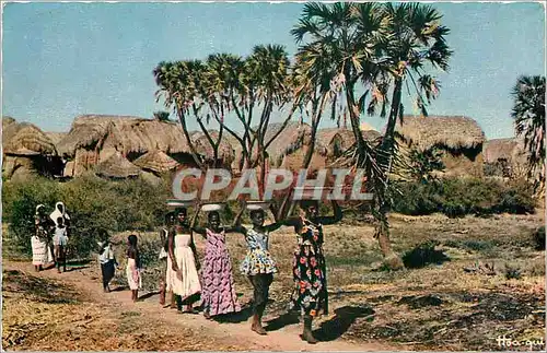 Cartes postales moderne Sur le chemin de la Fontaine Afrique