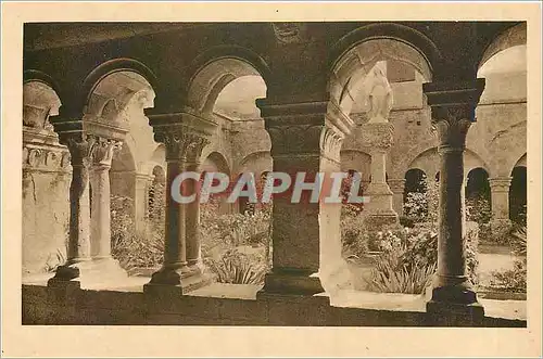 Cartes postales Abbaye de Senanque Gordes Vaucluse Le Cloitre et la VIerge de l'Inviolata