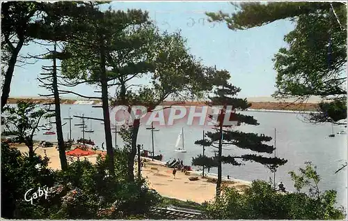 Cartes postales moderne Dives Cabourg Calvados Echappee sur le Port
