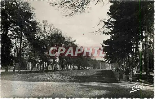 Cartes postales moderne La Rochelle Chte Mme Promenade du Midi