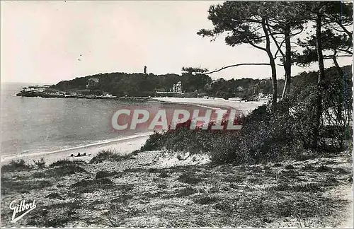 Cartes postales Sous le Ceil de France Royan Saint Palais Pointe de Terre Negre