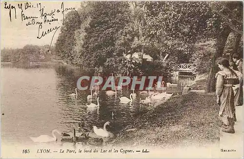 Cartes postales Lyon Le Parc le bord du Lac et les Cygnes