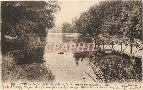 Cartes postales Lyon Le Parc de la Tete d'Or Le Lac pris du Grand Chalet