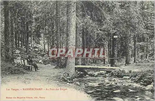 Ansichtskarte AK Les Vosges Ramberchamp Au pont des Singes