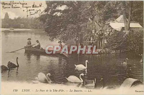 Cartes postales Lyon Le Parc de la Tete d'Or La Buvette Cygnes