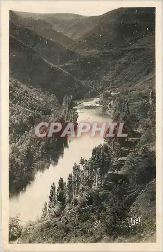 Ansichtskarte AK Gorges du Tarn Prades Lozere Les rives du Tarn