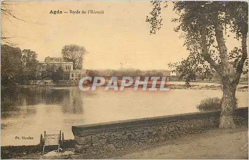Cartes postales Agde Bords de l'Herault