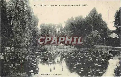 Cartes postales Chateauroux La Piece d'Eau du Jardin Public