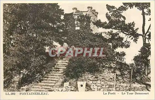 Cartes postales Fontainebleau La Foret La Tour Dencourt