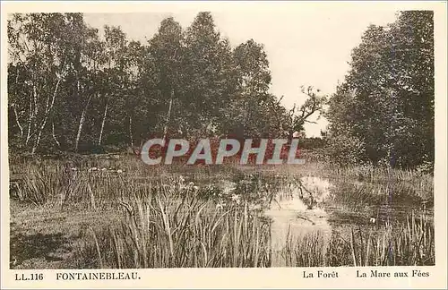 Cartes postales Fontainebleau La Foret La Mare aux Fees