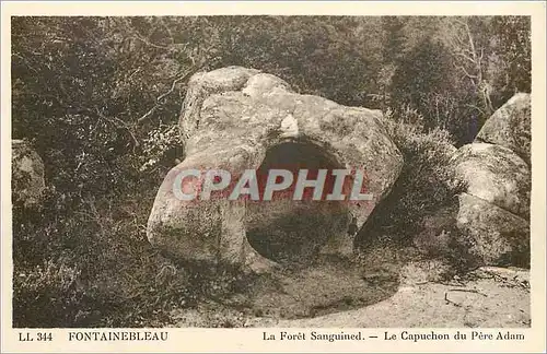 Cartes postales Fontainebleau La Foret Saniguined Le Capuchon du Pere Adam