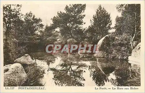 Cartes postales Fontainebleau La Foret La Mare aux Biches