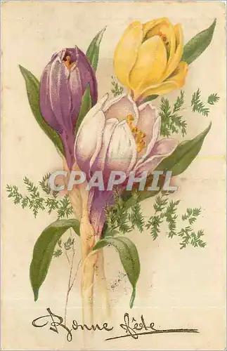 Cartes postales Bonne Fete Fleurs