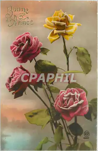 Cartes postales Bonne Annee