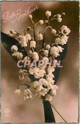 Cartes postales Porte Bonheur