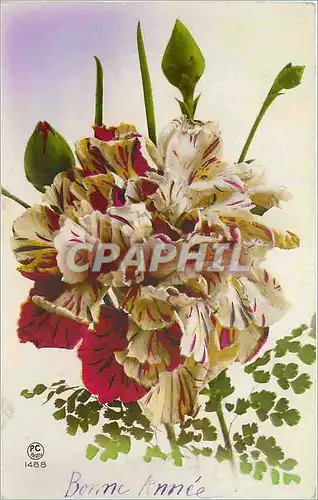 Cartes postales Bonne Annee  Fleurs