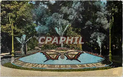 Cartes postales moderne Luchon Le Parc du Casino  Papillon