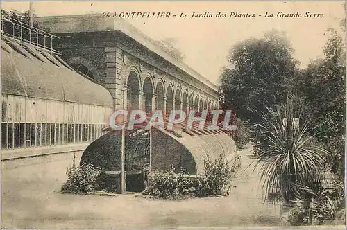 Ansichtskarte AK Montpellier Le Jardin des Plantea La Grande Serre