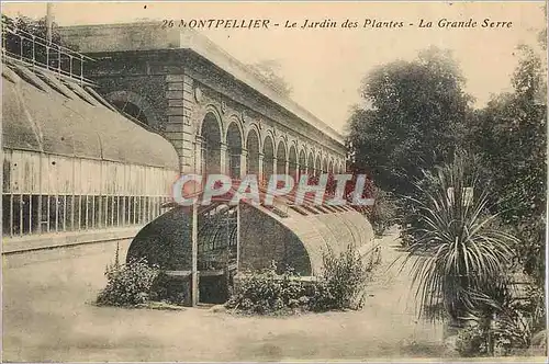 Cartes postales Montpellier Le Jardin des Plantea La Grande Serre