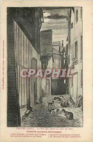 Cartes postales Troyes Aube La Rue des Chats au clair de lune Serenade nocturne interrompue