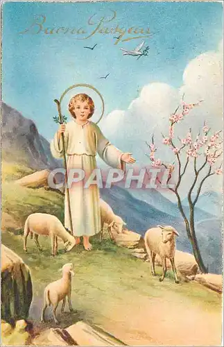 Ansichtskarte AK Buona Pasqua Moutons