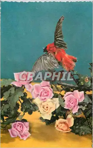 Cartes postales Oiseau Fleurs