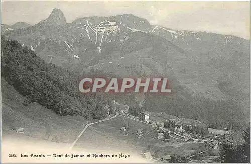 Cartes postales Les Avants Den de Faman et Rochers de Naye