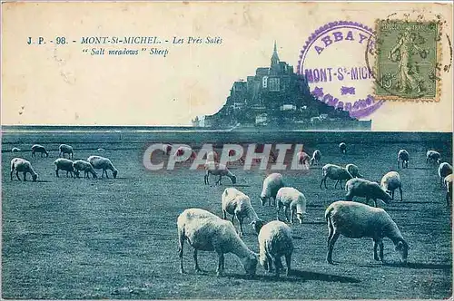 Ansichtskarte AK Mont St Michel Les Pres Sales Moutons