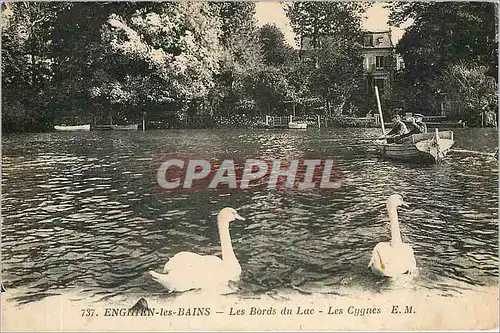 Cartes postales Enghien les Bains Les Bords du Lac Les Cygnes