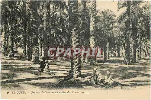 Cartes postales El Oued Grandes Palmeraies au milieu des Dunes