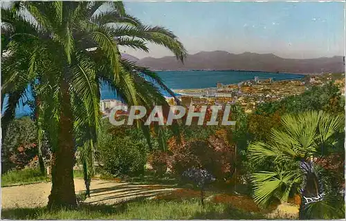 Cartes postales La Cote d'Azur Cannes Vue Generale