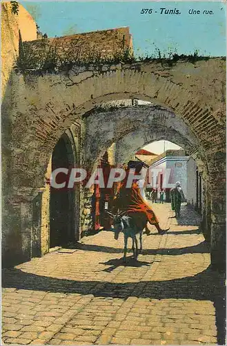 Cartes postales Tunis Une rue Ane Mule