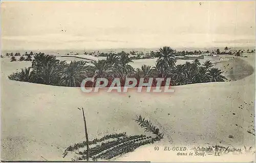 Ansichtskarte AK El Oued Legumes dans le Souf