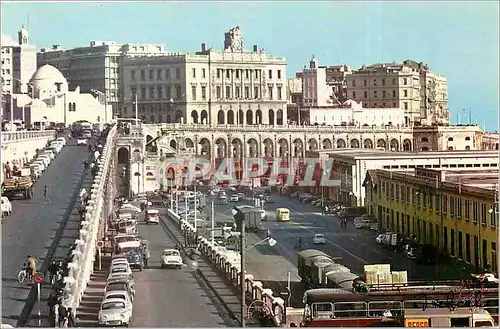 Cartes postales moderne Alger Le Front de mer