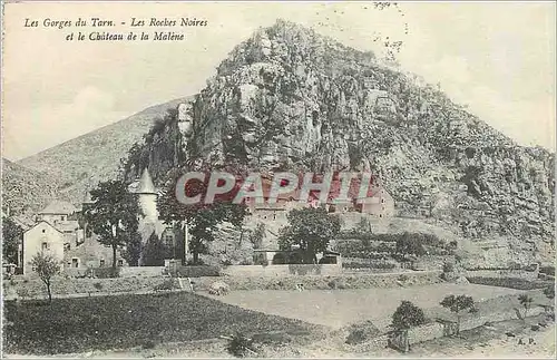 Cartes postales Les Gorges du Tarn Les Roches Noires et le Chateau de la Malene