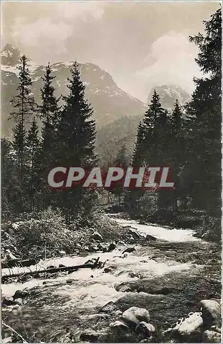 Cartes postales moderne Paysages Alpestres Le Torrent