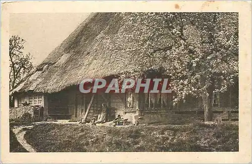 Ansichtskarte AK Le Locle Suisse Chocolat Klaus Morteau France