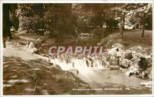 Cartes postales Endcliffe Woods Sheffield