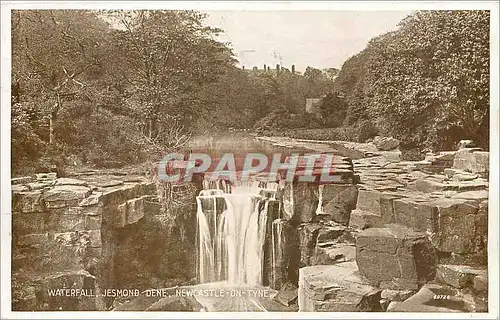 Ansichtskarte AK Waterfall Jesmond Dene Newcastle on Tyne