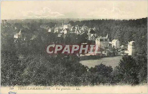 Cartes postales Tesse la Madeleine Vue generale