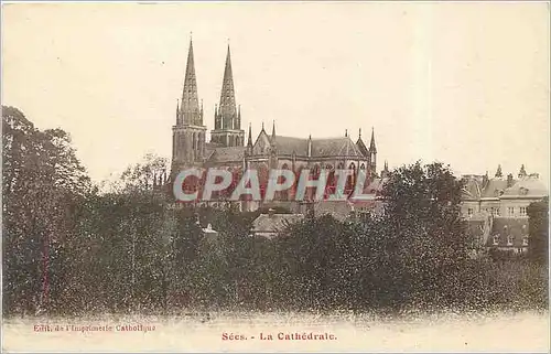 Cartes postales Sees La Cathedrale