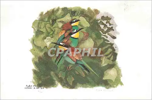 Cartes postales Campagne Pour la Station ornithologique suisse Oiseaux