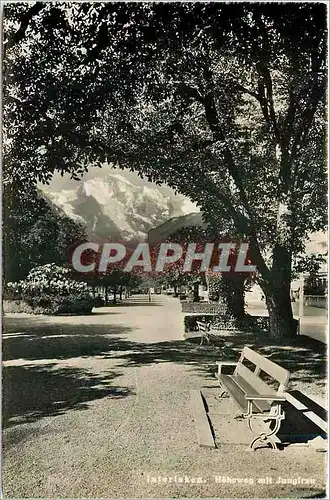 Cartes postales moderne Interlaken Hohewez mit Jungfran