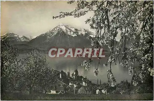 Cartes postales moderne Oberhofen am Thunersee mit Niesen