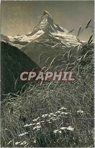 Moderne Karte Findelen ob Zermatt Blick vom hochstgelegenen Getreideacker Europas auf Matterhorn