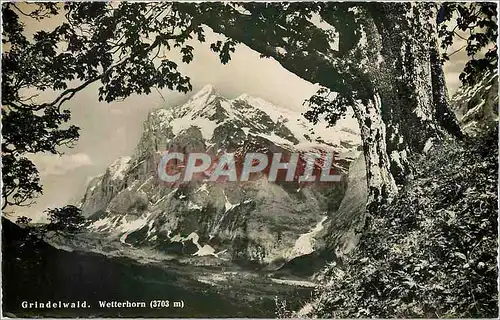 Cartes postales moderne Grindelwald Wetterhorn