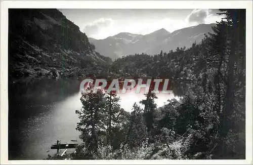 Cartes postales moderne Alpines Pflanzenschutzgebiet und Arvenreservat Murgsee