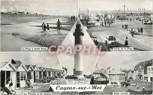 Cartes postales moderne Cayeux sur Mer La plage a maree basse Les planches et les cabines Entree de la plage Place Courb